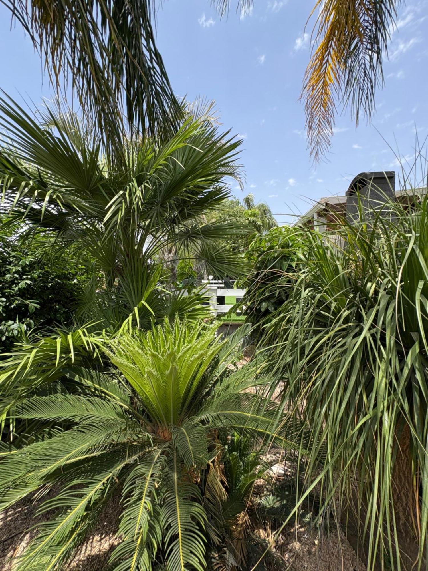 Kesem Bagolan Had Nes Exterior foto