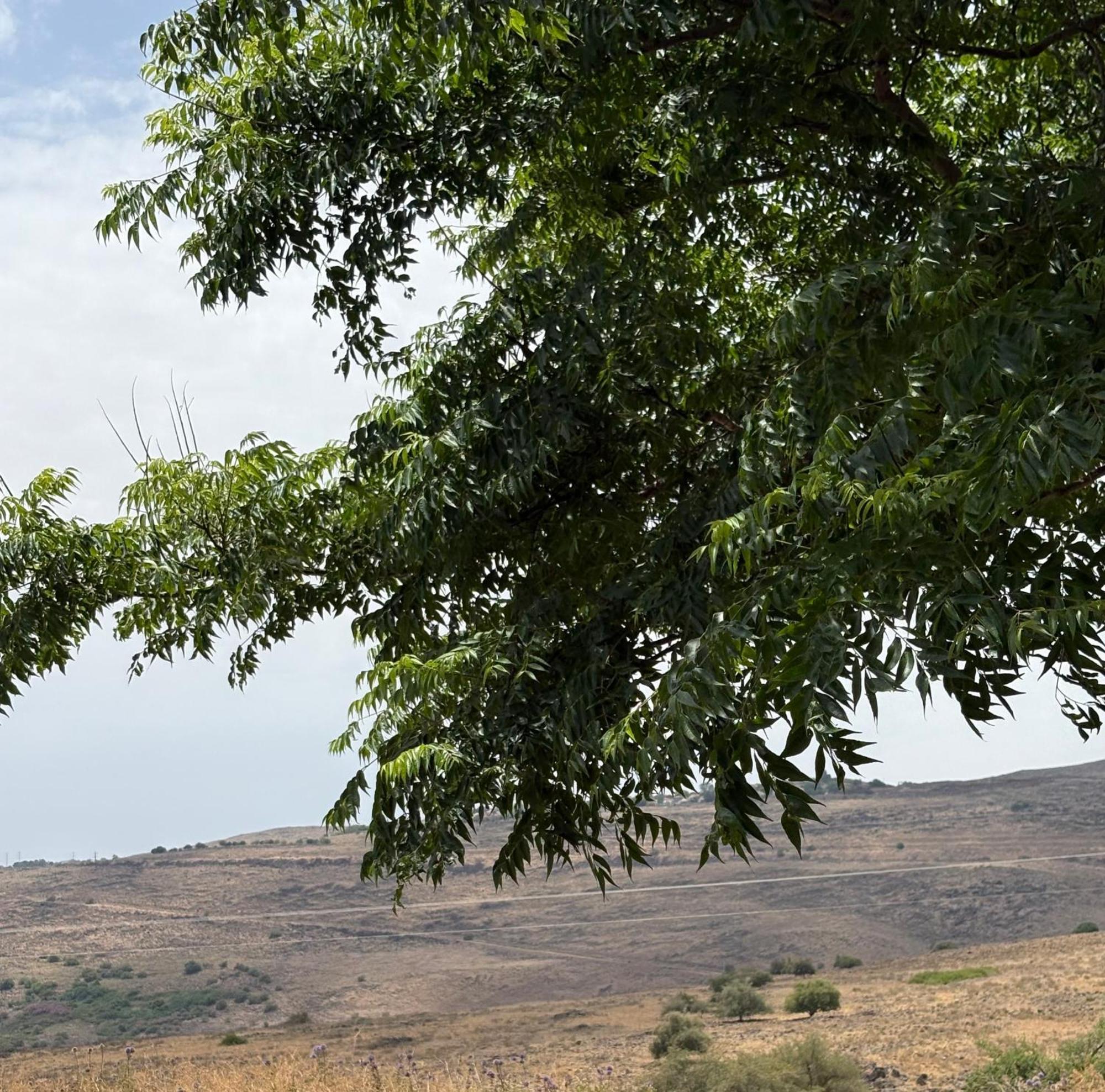 Kesem Bagolan Had Nes Exterior foto